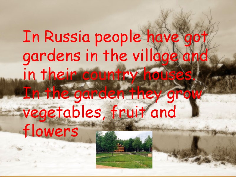 In Russia people have got gardens in the village and in their country houses.